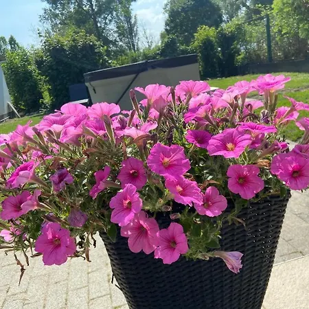 Toparti Apartmanhaz Apartment *