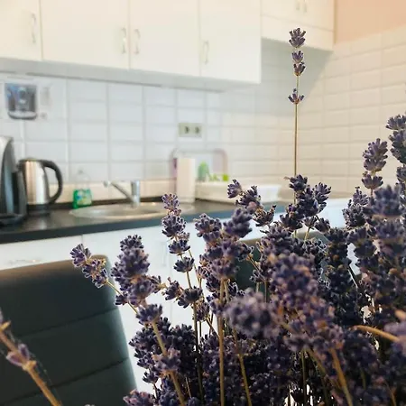 Toparti Apartmanhaz *