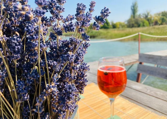 Toparti Apartmanhaz Balatonszarszo